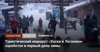Туристический маршрут «Хаски в Лагонаки» заработал в первый день зимы