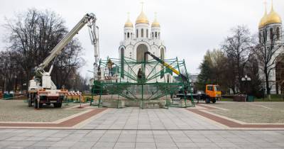 В Калининграде начали устанавливать главную новогоднюю ёлку (фото)
