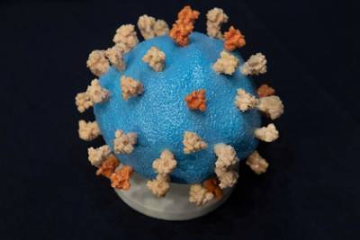 Доказана прямая опасность коронавируса для мозга