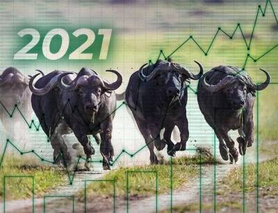Следующий год станет бычьим для акций по трём факторам