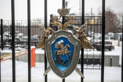 Следственный комитет заявил, что не проводит проверку в отношении Алексея Навального
