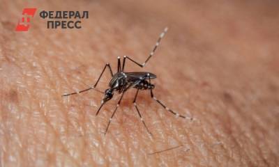 Памятник комару в Ноябрьске может войти в топ-100 необычных скульптур