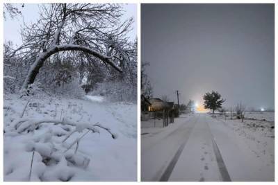Настоящая зима: в сети показали яркие кадры, как Одесскую область замело снегом