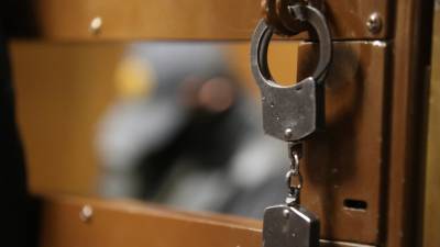 Задержанный слесарь рассказал о мотиве убийств 26 человек в Татарстане