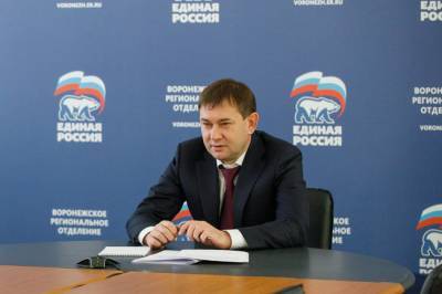 Председатель Воронежской облдумы провел дистанционный прием граждан