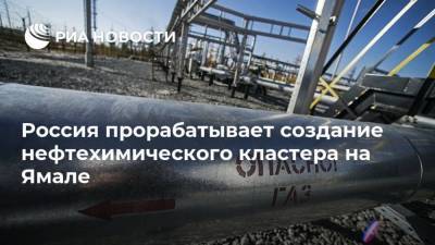 Россия прорабатывает создание нефтехимического кластера на Ямале