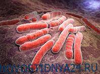 Специалисты нашли новый способ уничтожения микобактерий, вызывающих туберкулез