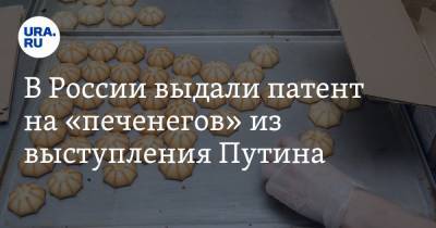 В России выдали патент на «печенегов» из выступления Путина