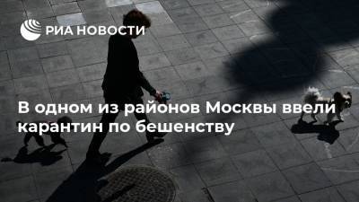 В одном из районов Москвы ввели карантин по бешенству