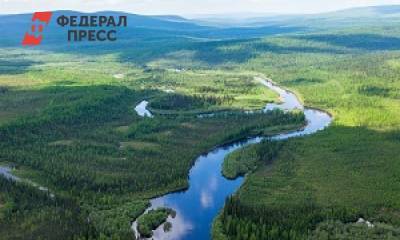 «Роснефть» помогла в изучении пострадавших от пожаров сибирских лесов