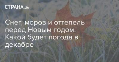 Снег, мороз и оттепель перед Новым годом. Какой будет погода в декабре