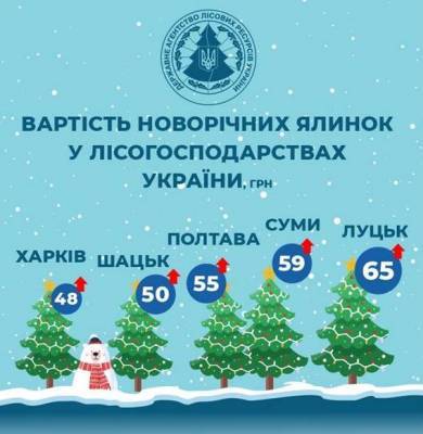 Стали известны цены на новогодние елки по Украине