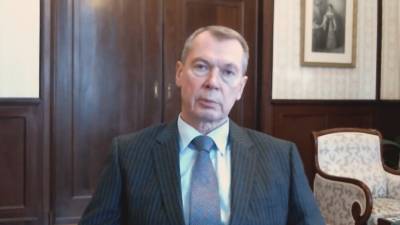 Шульгин прокомментировал подписание заявления по ситуации с Навальным рядом «встревоженных» государств