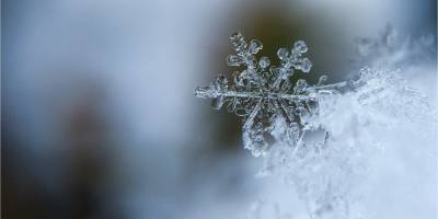 Зимнее бабье лето? Синоптики прогнозируют украинцам необычную погоду в декабре