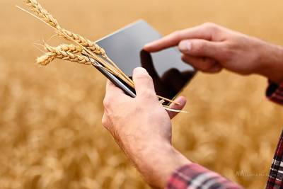 Липецким фермерам поможет цифровая платформа