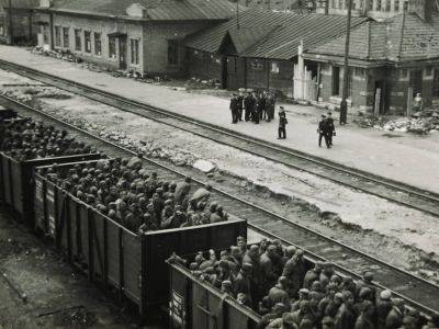 "Новая газета": СК массово вызывает на допросы очевидцев преступлений нацистов во время Сталинградской битвы