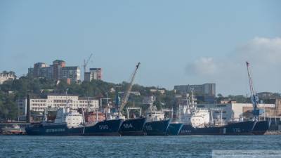 Названы преимущества расширения морского порта Владивосток