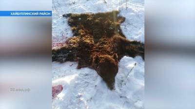 Появились подробности жестокого убийства лося в Башкирии