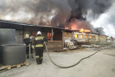 Сотрудники МЧС России ликвидировали крупный пожар на производстве в Сновицах