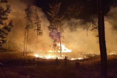 В России ужесточат уголовную ответственность за лесные пожары