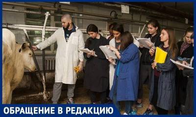 Тимирязевская академия хочет порубить на мясо 30 учебных коров