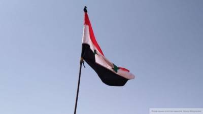 Дамаск обозначил ООН условия решения кризиса в Сирии