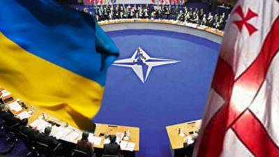 Руководство НАТО заявило о необходимости расширении партнерства с Грузией и Украиной