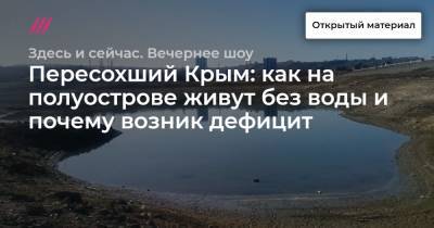 Пересохший Крым: как на полуострове живут без воды и почему возник дефицит