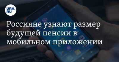 Россияне узнают размер будущей пенсии в мобильном приложении