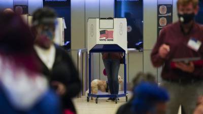 Ещё 17 штатов поддержали иск Техаса о пересмотре итогов выборов