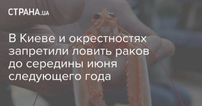 В Киеве и окрестностях запретили ловить раков до середины июня следующего года - strana.ua - Киев - Киевская обл.