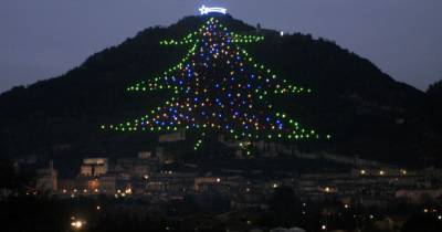 В Италии зажгли самую большую новогоднюю елку в мире: высота дерева — 750 метров