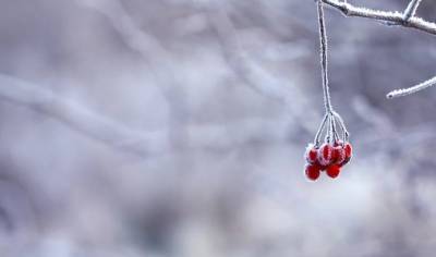 Морозы уходят? Погода в Ульяновской области на 10 декабря