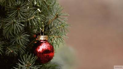 Власти Тывы объявили 31 декабря выходным днем