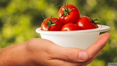 Минсельхоз РФ оценил последствия запрета поставок томатов из ряда стран