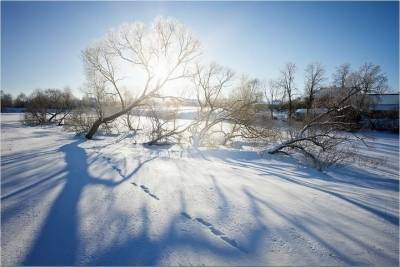 В выходные в Тверской области ожидается морозная и солнечная погода