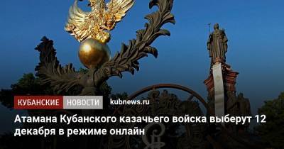 Атамана Кубанского казачьего войска выберут 12 декабря в режиме онлайн