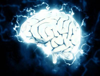 Доктор Лиза Москони назвала полезные и вредные продукты для головного мозга человека
