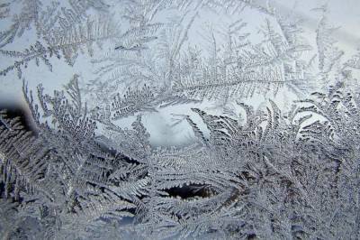 Потепление принесло в Украину снег и дожди: в каких областях ждать непогоды 10 декабря
