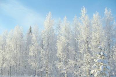 Солнечно и морозно будет в Удмуртии 10 декабря