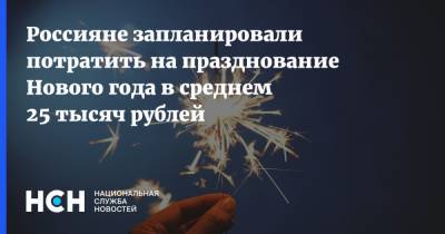 Россияне запланировали потратить на празднование Нового года в среднем 25 тысяч рублей