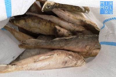 В Кизлярском районе сожгли 3,5 тонны небезопасной рыбы