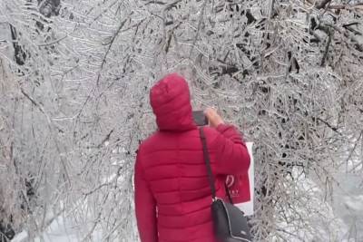Ударят 22-градусные морозы: украинцев предупредили, какие области заледенеют первыми