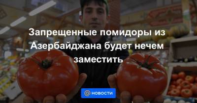 Запрещенные помидоры из Азербайджана будет нечем заместить
