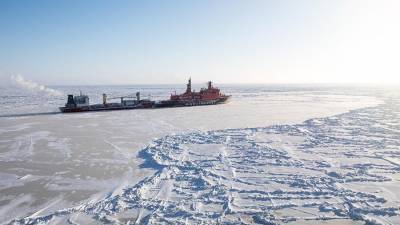 Законопроект о либерализации арктического шельфа внесли в правительство