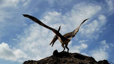 Палеонтологи из США выявили ранних предков птерозавров