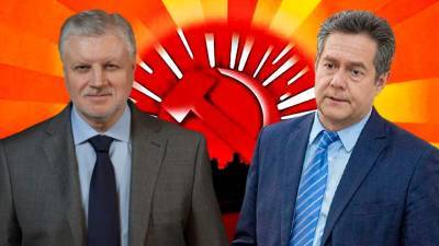 Лидер партии «Справедливая Россия» Миронов полагает, что Платошкина удерживают под арестом незаконно