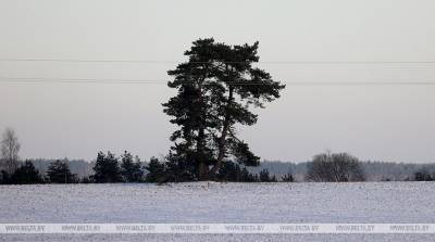 Мокрый снег с дождем и гололедица ожидаются в Беларуси в выходные