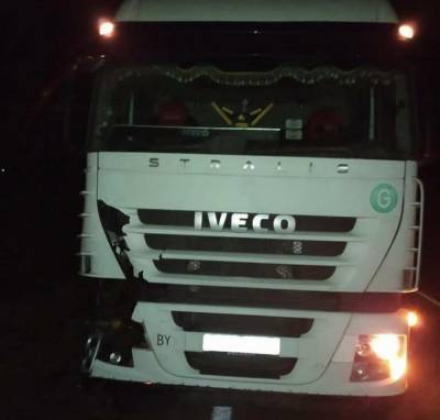 На Львовщине белорусский грузовик насмерть сбил мужчину: фото