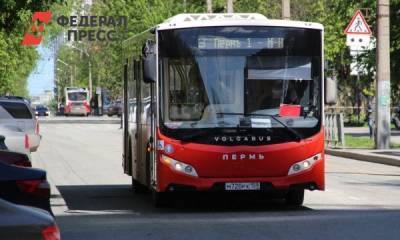 На пермских маршрутах работает 490 автобусов выпуска двух последних лет